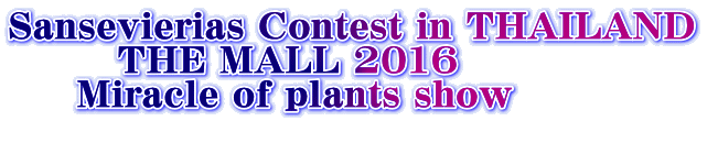 Sansevierias Contest in THAILAND          THE MALL 2016      Miracle of plants show 