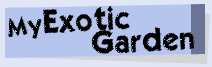 My Exotic Garden