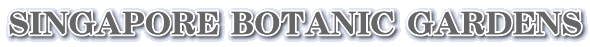 SINGAPORE BOTANIC GARDENS